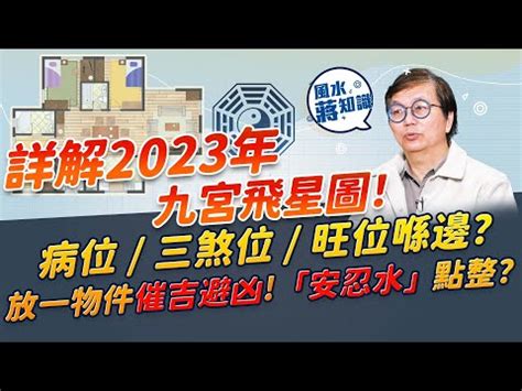 2023正東|【2023正東】2023正東化解病符星，輕鬆招好運旺桃。